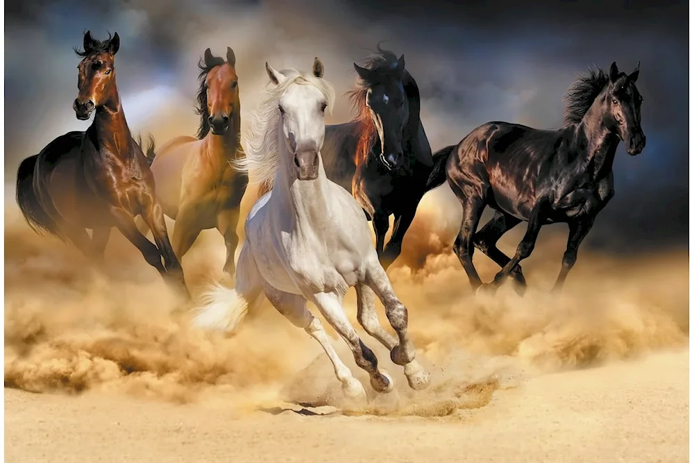 Spartaco Lombardo horses