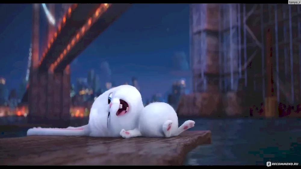 The Secret Life of Pets The Secret Life of Pets rabbit