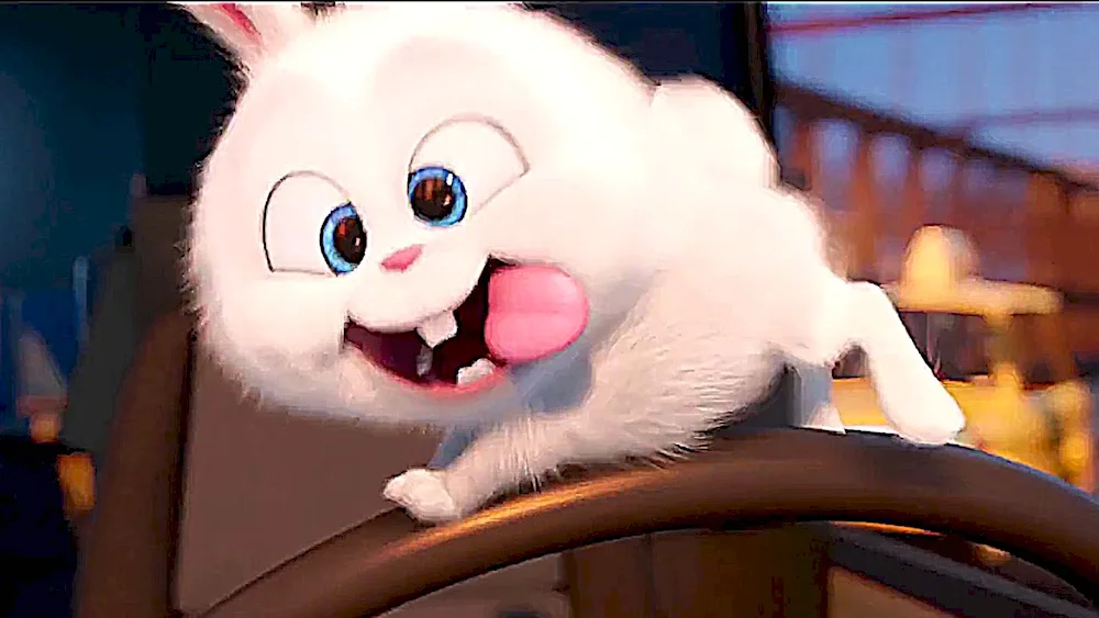 The secret life of pets rabbit