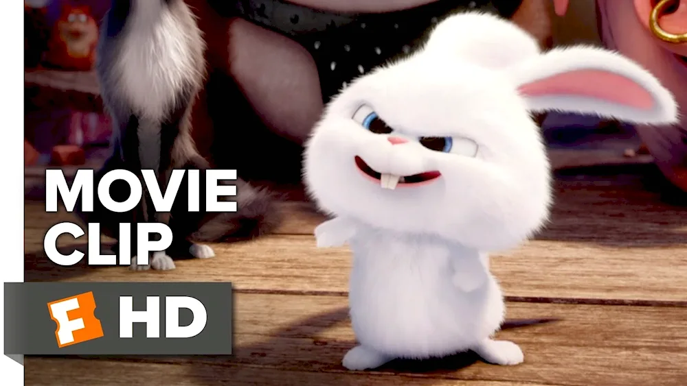 The secret life of pets rabbit evil