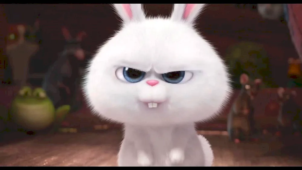 The Secret Life of Pets 1