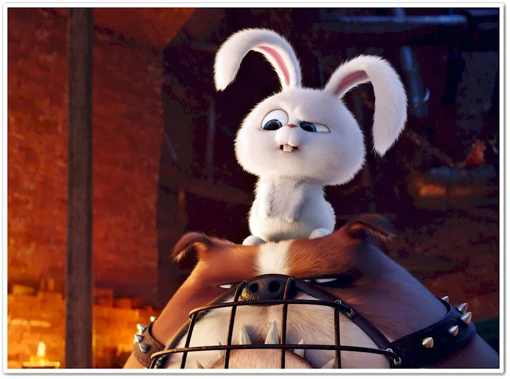 The Secret Life of Pets croc