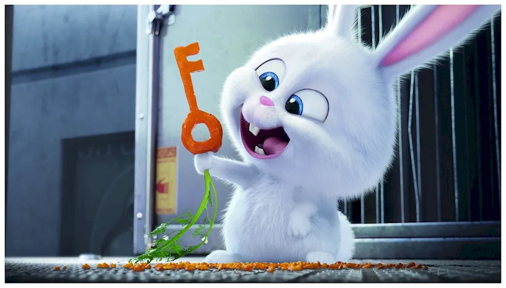 The secret life of pets snowball