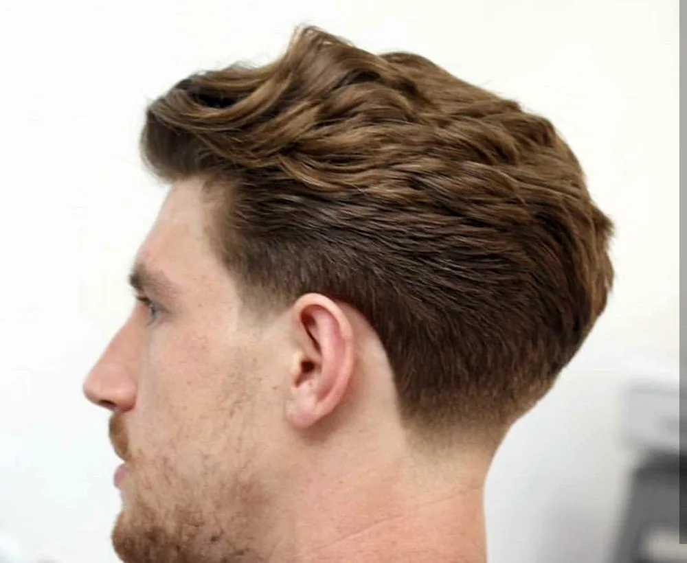 Andercat Pompadour