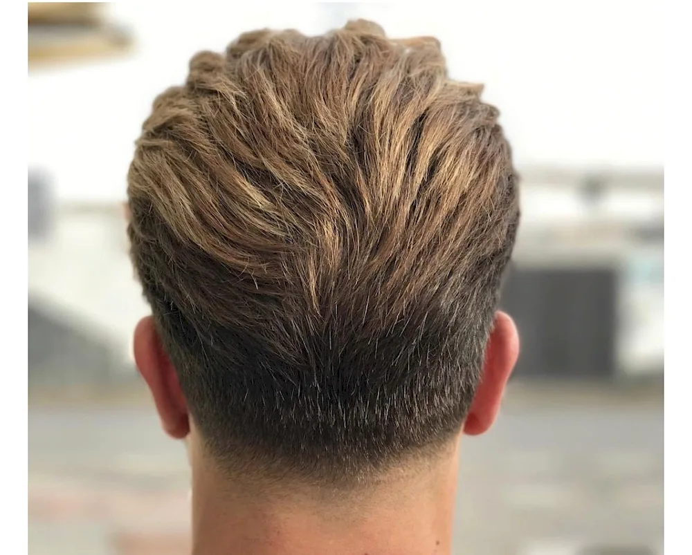 Taper Haircut for men from behind