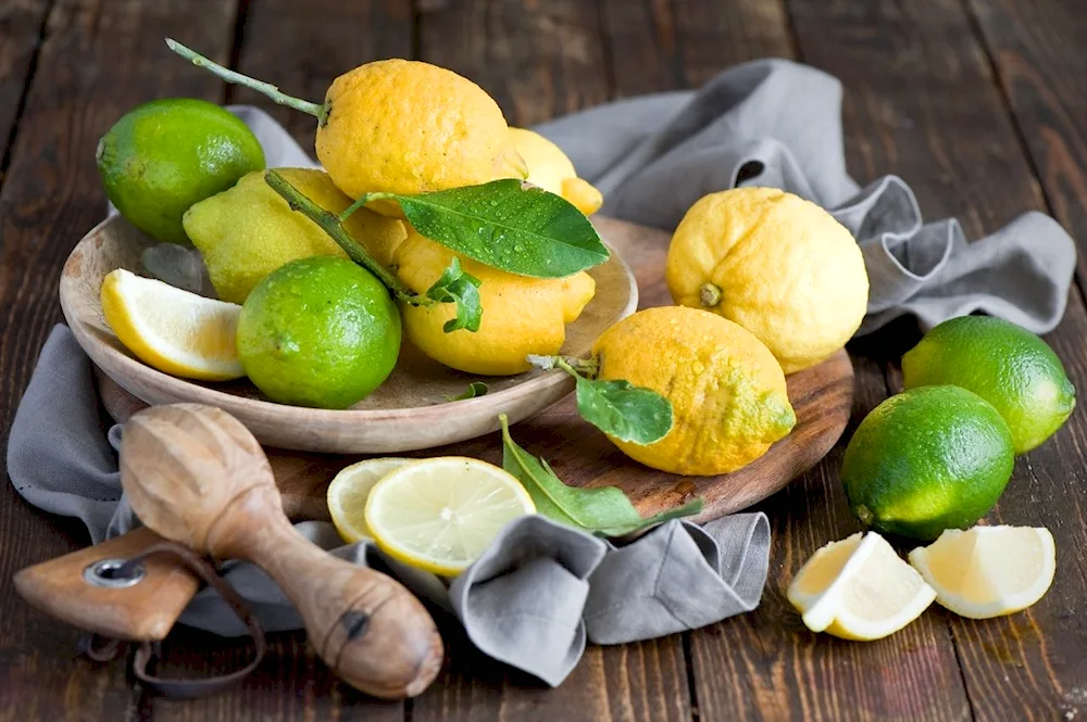 Still Life