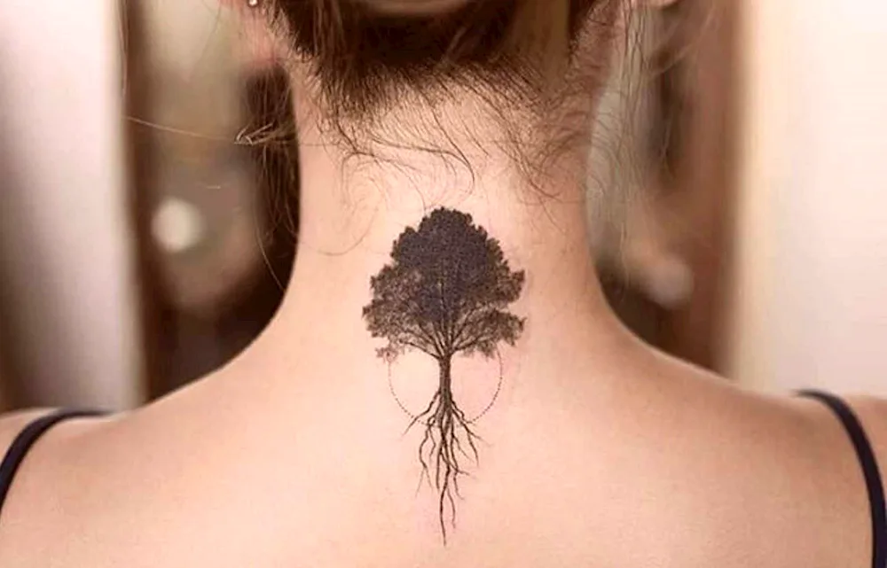 Tatu tree with roots