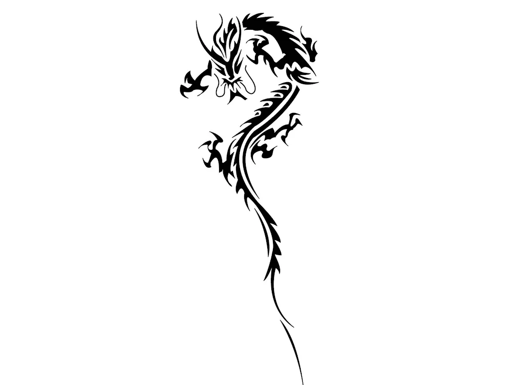 Dragon tattoo