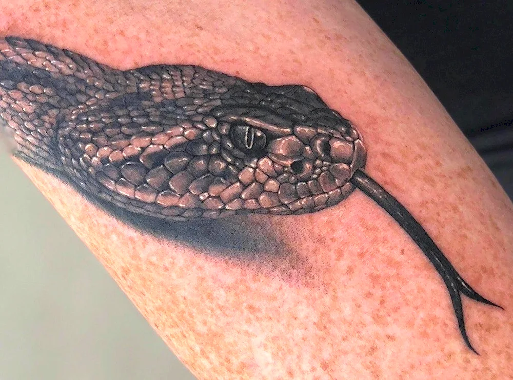 Snake tattoo