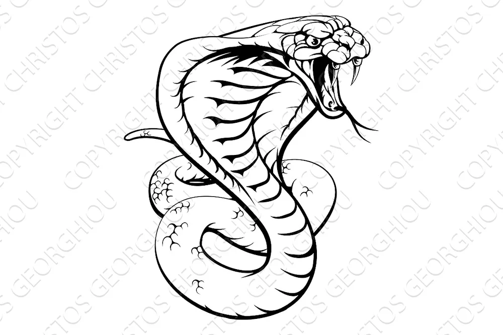 Tattoo Cobra