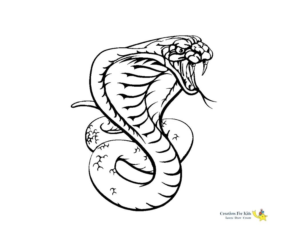 Snake in pencil