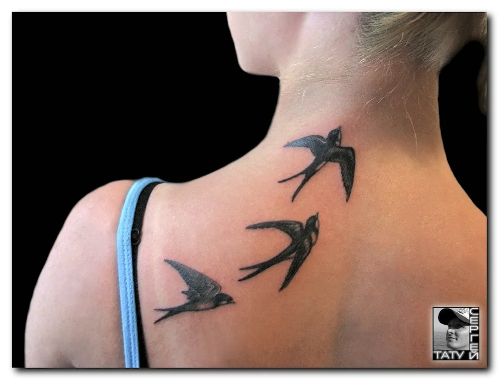 Swallow tattoo