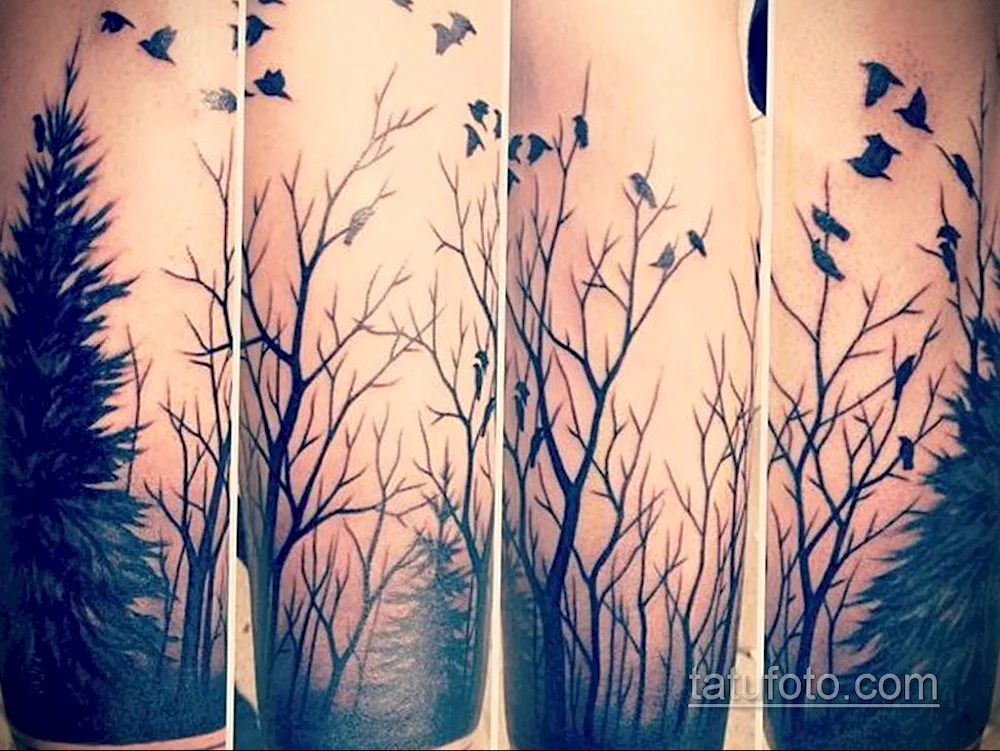 Silhouette forest forest on leg