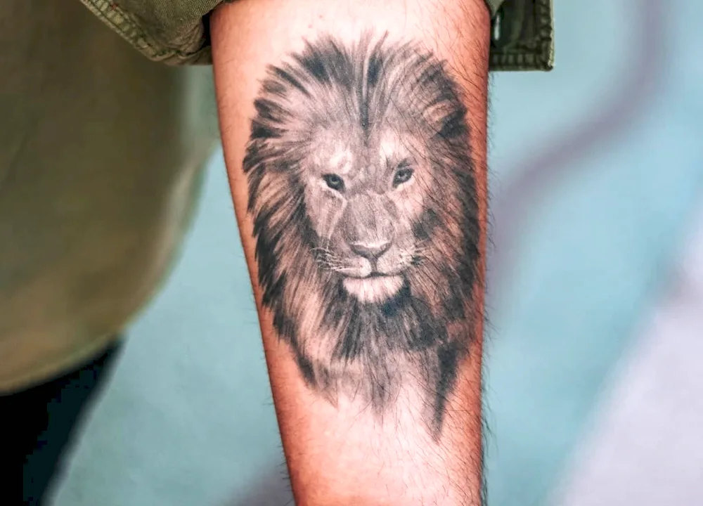 Tatu Lion