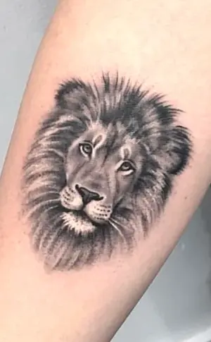 Lion tattoo