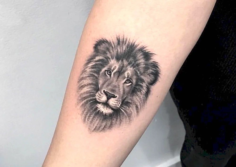 Lion tattoo