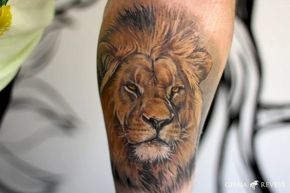 Lion tattoo