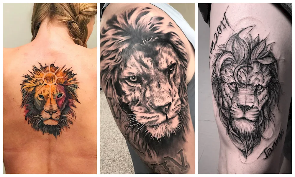 Lion tattoo