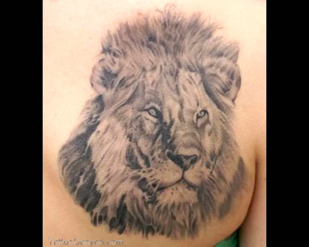 Tattoo Lion