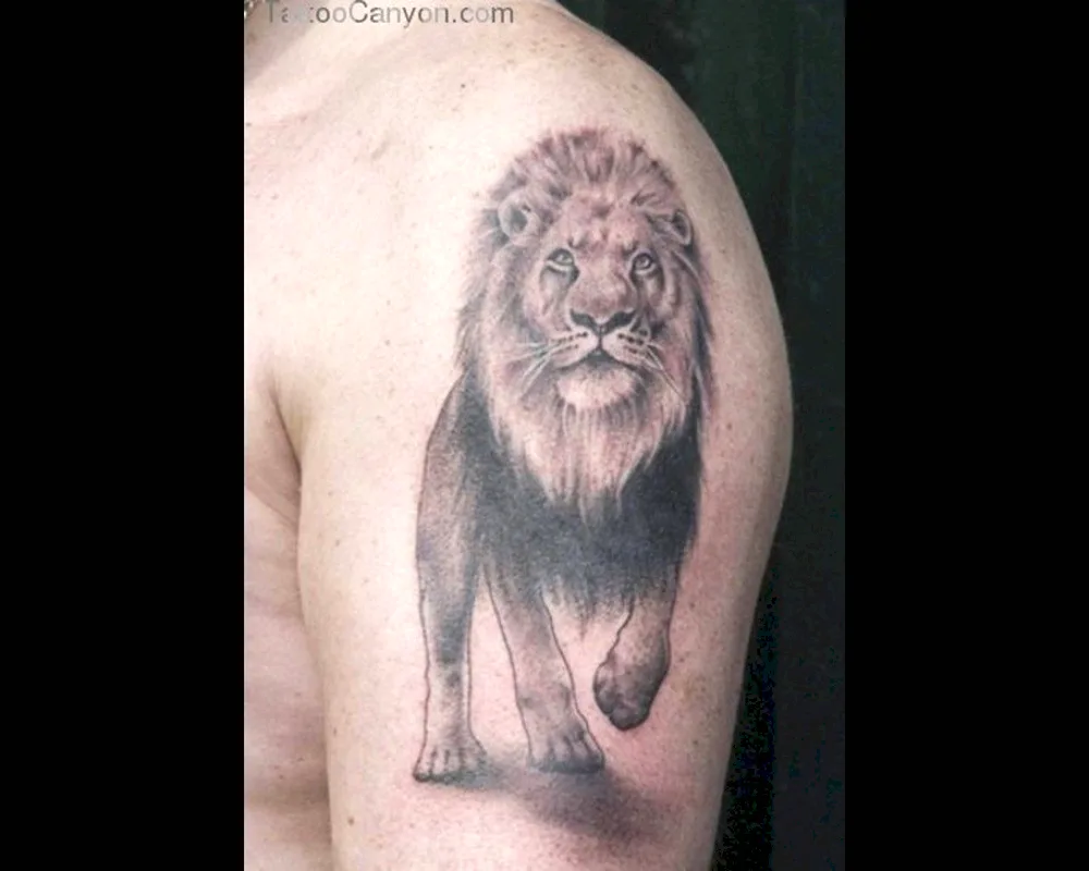 Lion tattoo