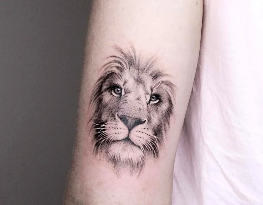 Tattoo Lion