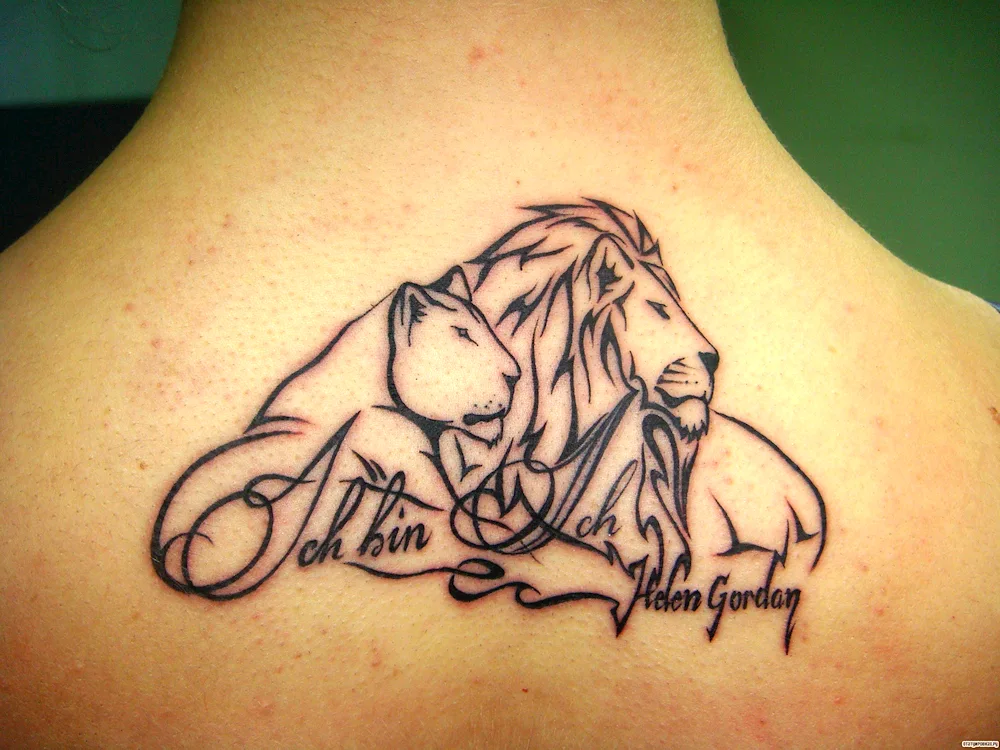 Lion and lioness