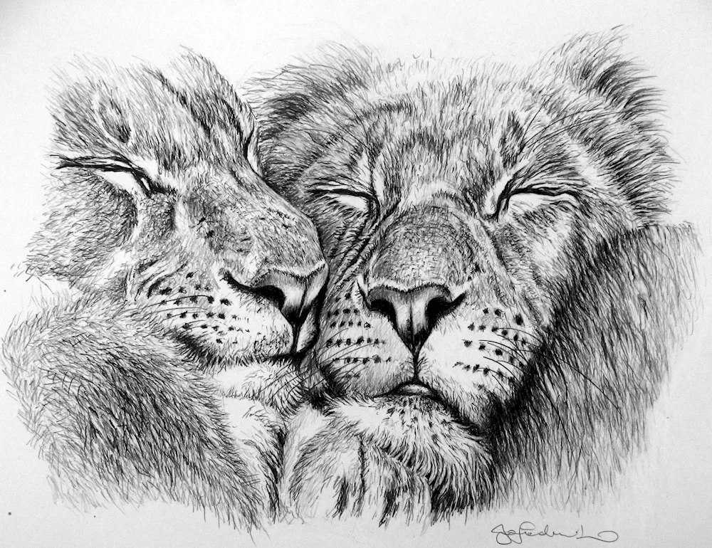 Lion tattoo lion and lion family
