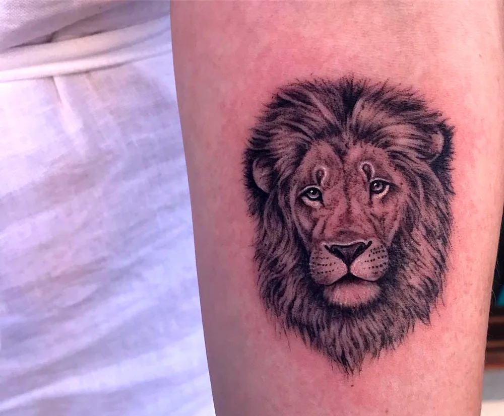 Tattoo Lion