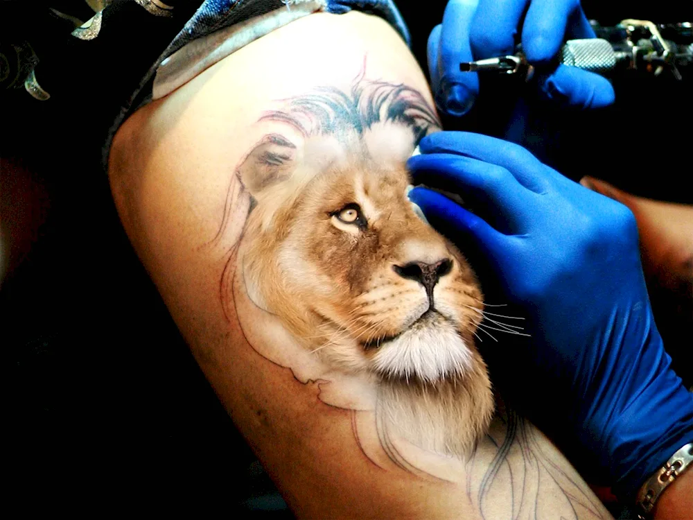 Lion tattoo 3d