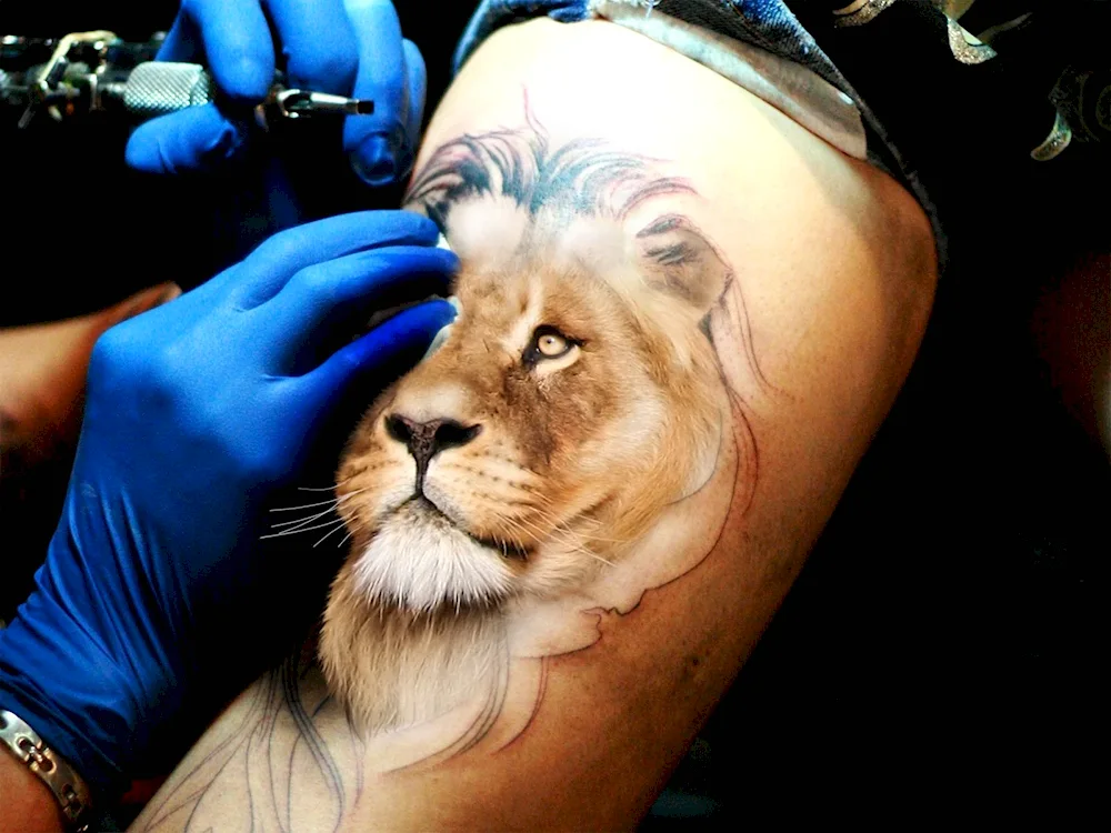 Lion tattoo