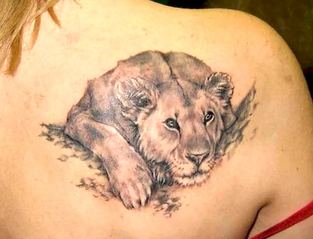 Lioness tattoo