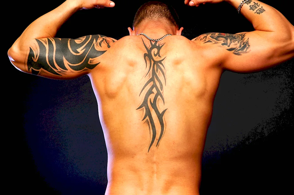 Conor MACGREGOR back tattoo