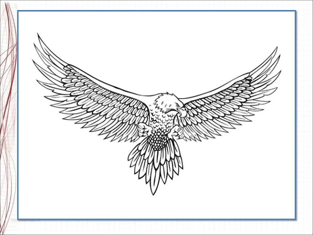 Eagle drawing