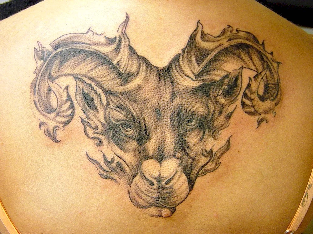 Goat tattoo