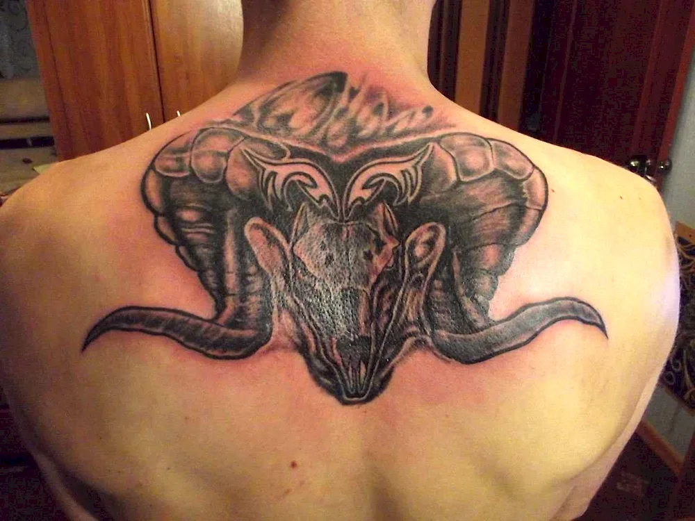 Aries Aries tattoo