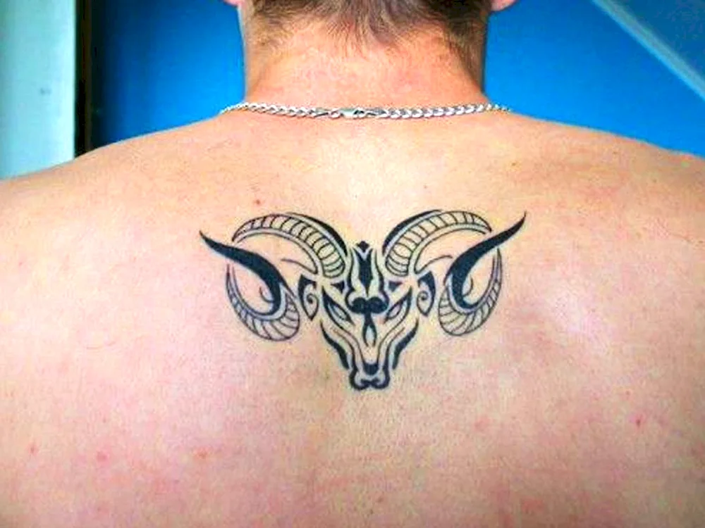 Aries tattoo sketch Aries tattoo skull of ram tattoo