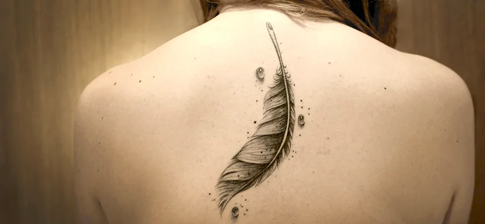 Tattoo Feather