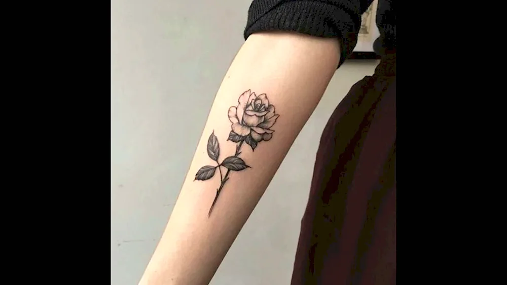 Rose tattoo on arm