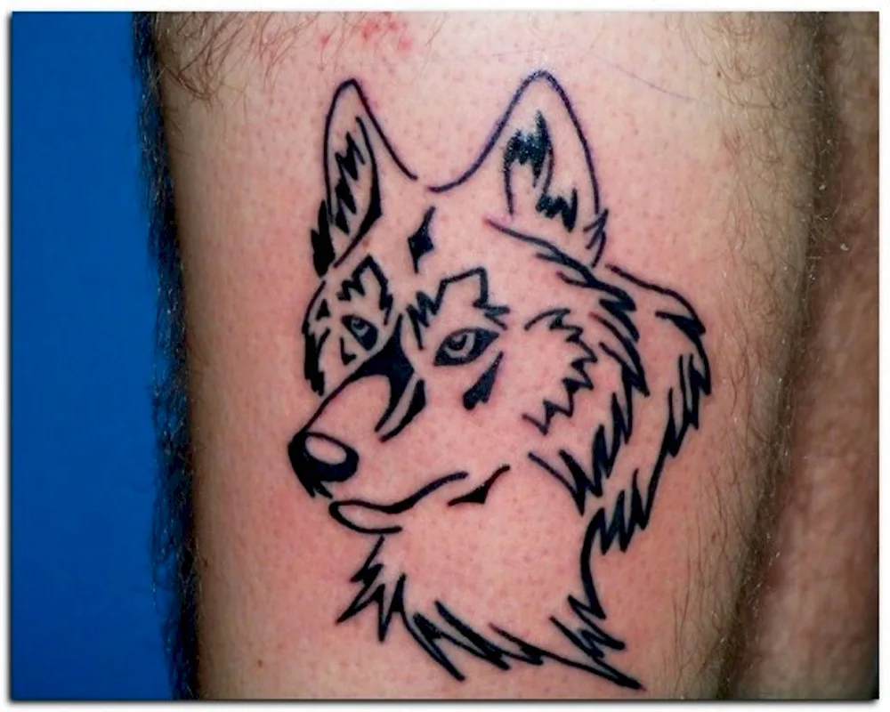 Wolf tattoo on chest