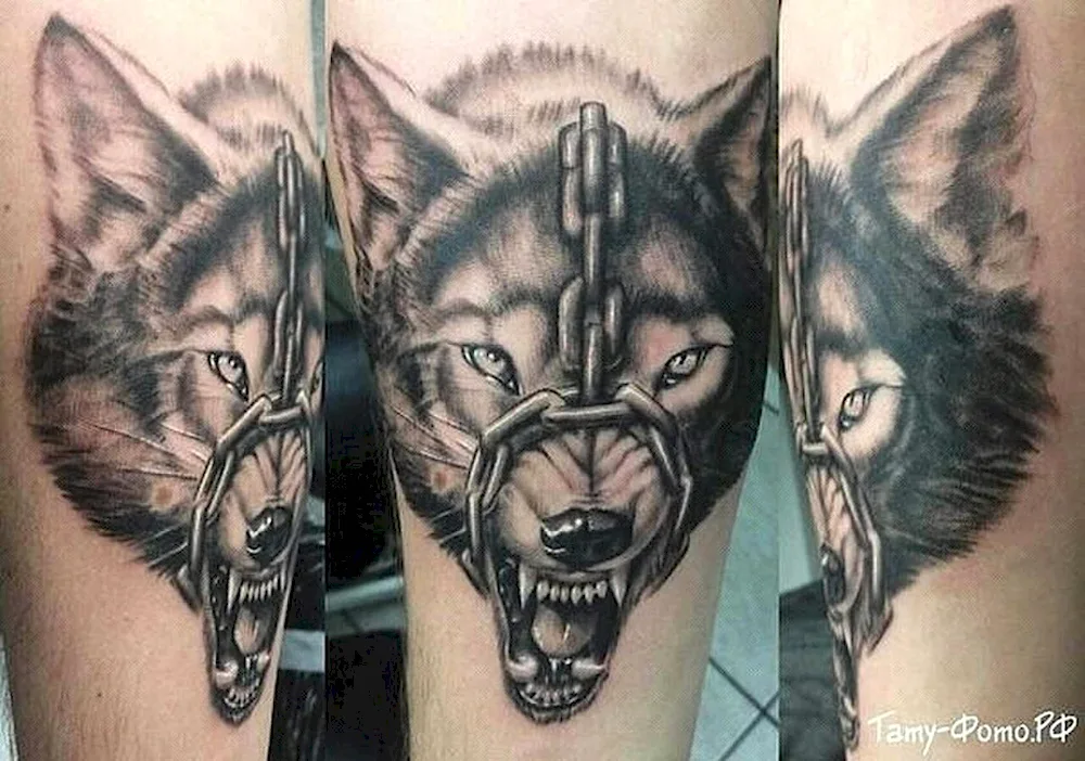 Wolf tattoo