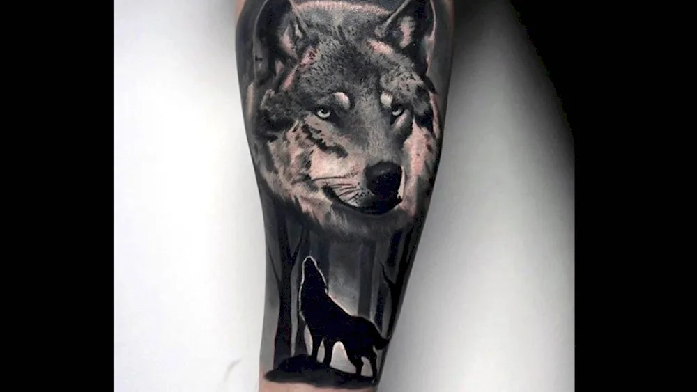 Tatu wolf