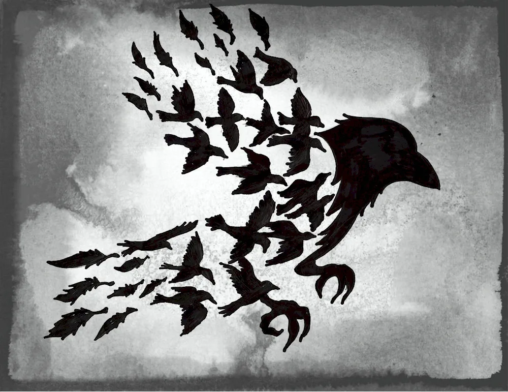 crow drawing