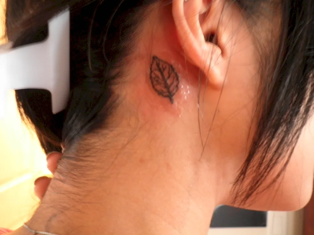 Tattoo a feather behind the ear