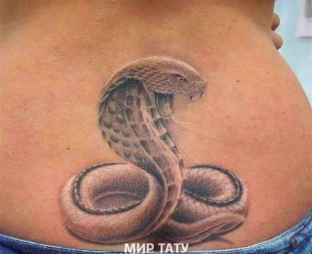 Snake tattoo