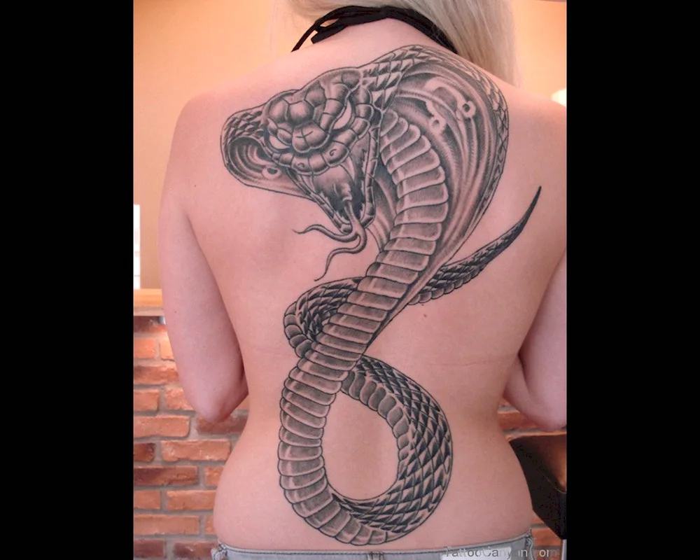 Snake tattoo