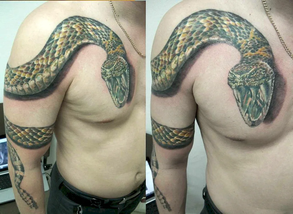 Snake tattoo on arm