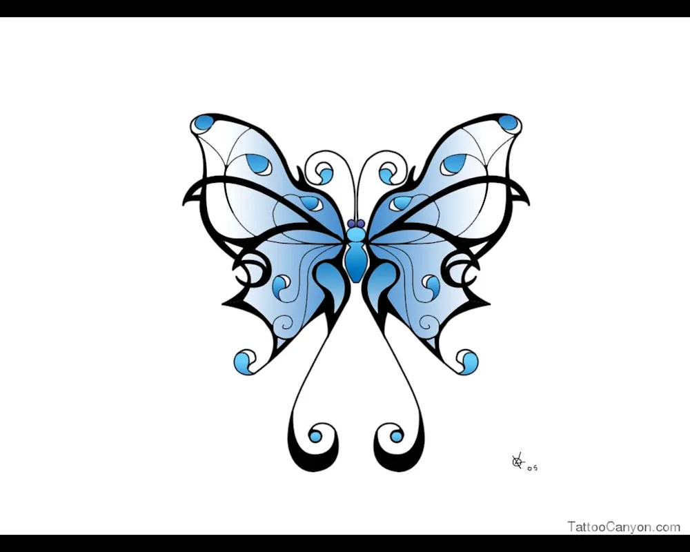 Butterfly drawing