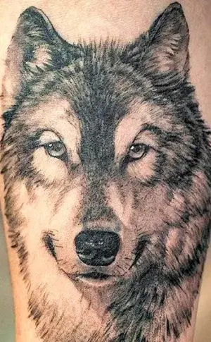 Tatuirovki wolf