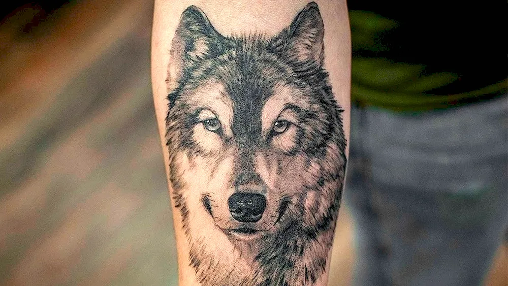 Tatuirovki wolf