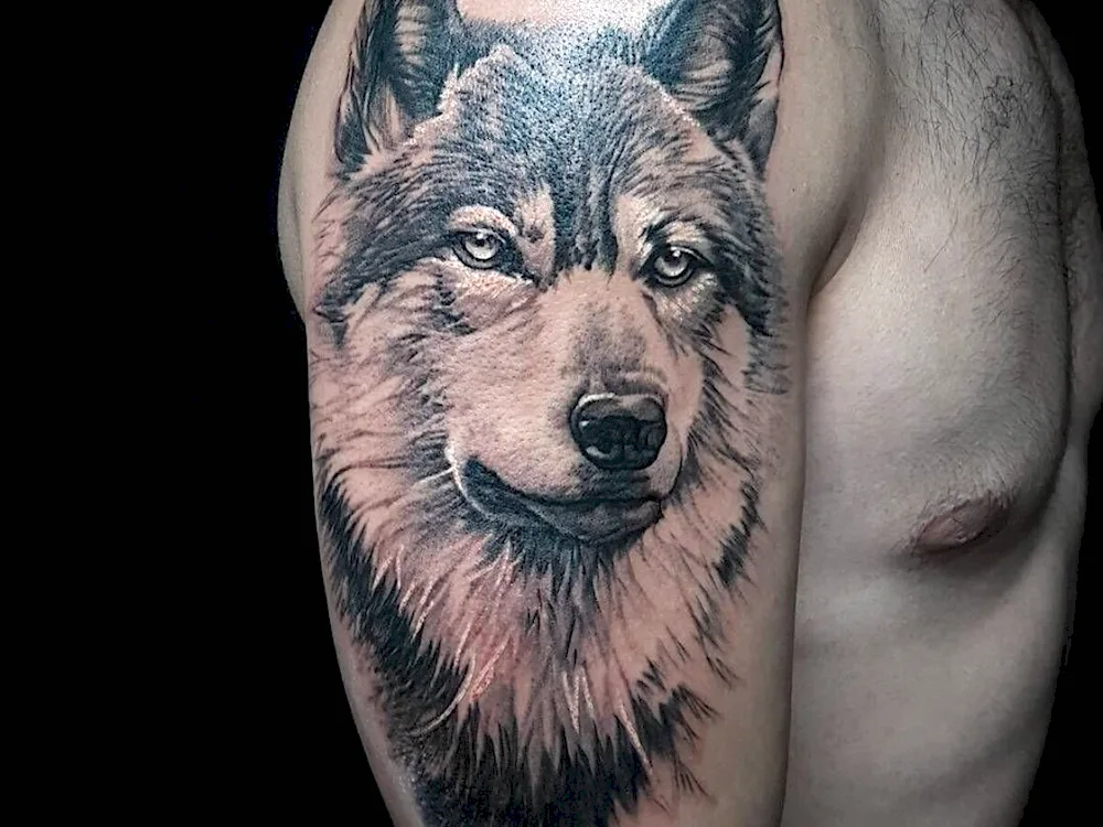 Tatuirovki wolf